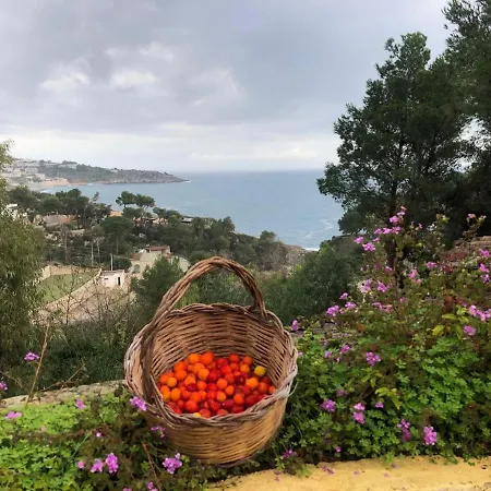 La Terrazza On Acquaviva